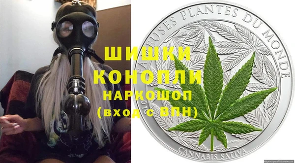 мдпв Щучье